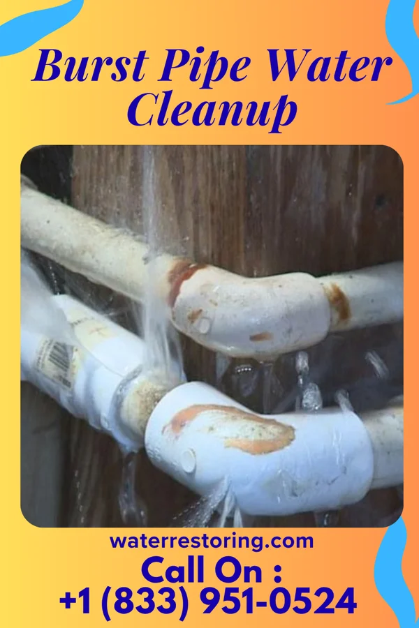 Burst Pipe Water Cleanup in Brunersburg, OH