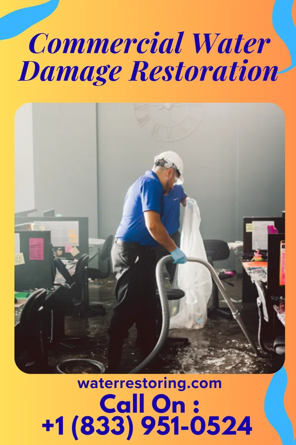 Commercial Water Damage Restoration in Brunersburg, OH