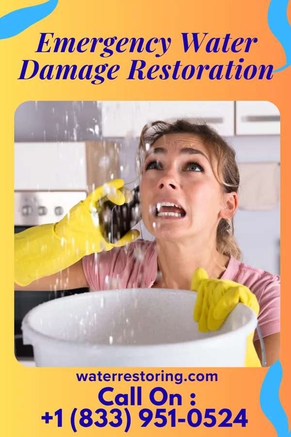 Emergency Water Damage Restoration in Brunersburg, OH
