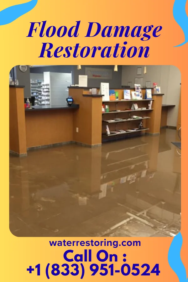 Flood Damage Restoration in Brunersburg, OH