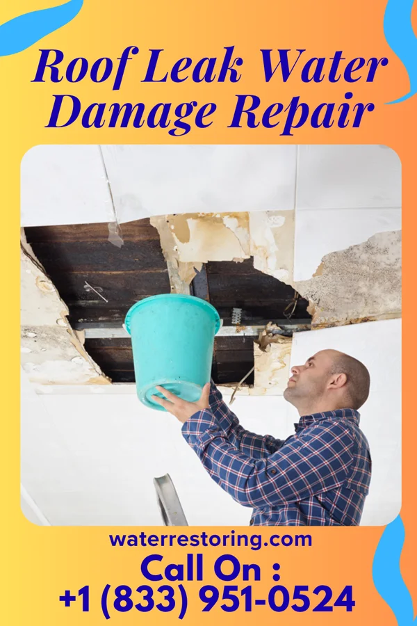 Roof Leak Water Damage Repair in Brunersburg, OH