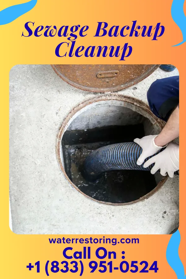 Sewage Backup Cleanup in Brunersburg, OH