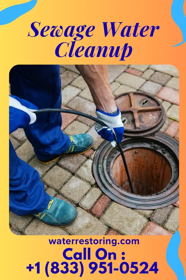 Sewage Water Cleanup in Brunersburg, OH