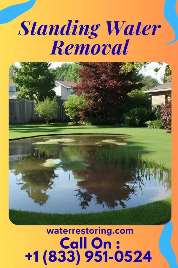 Standing Water Removal in Brunersburg, OH